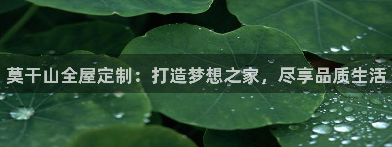 bb电子哪个平台好用