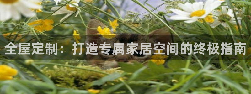 BB电子怪物派对