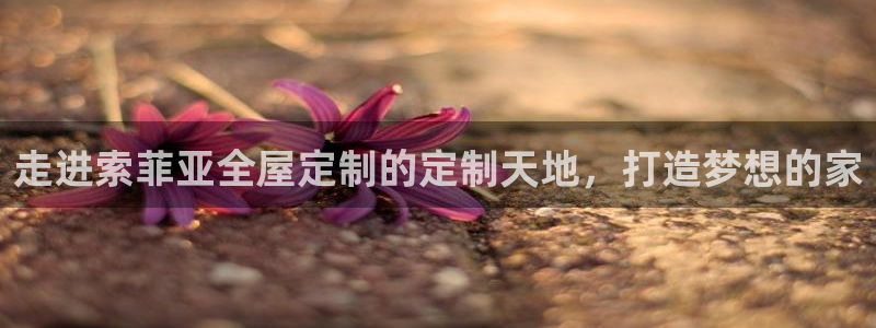 网上bb电子为什么那么假的