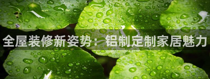 网上bb电子为什么那么假