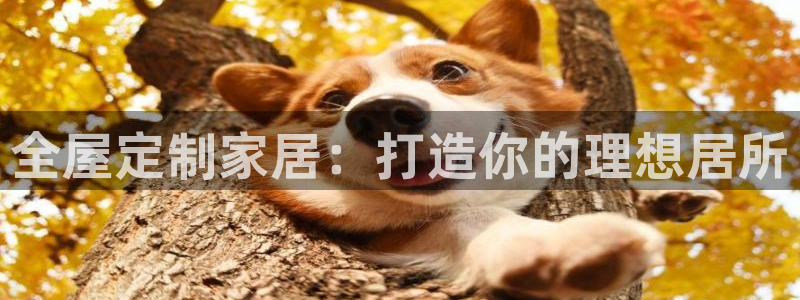 BB电子锁怎么接电