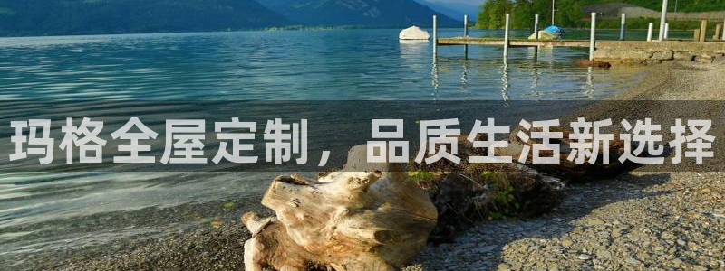 bb电子哪个平台好用一点