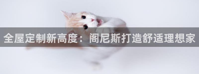 bb电子哪个平台好用点