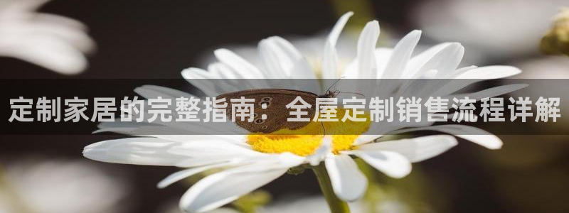 bB电子琴和弦