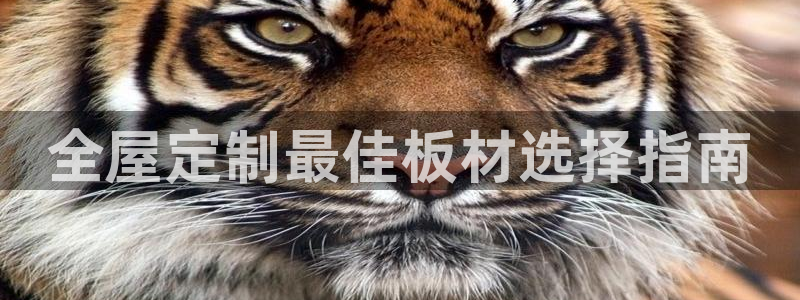bb电子哪个平台好用一点