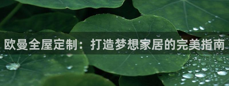 bb电子怎么样