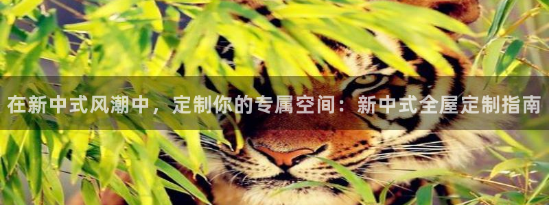 bb电子哪个游戏好赢钱一点的