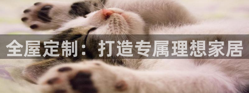 bb电子哪个平台好点
