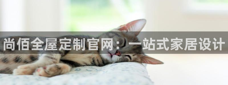 bb电子哪个平台好啊