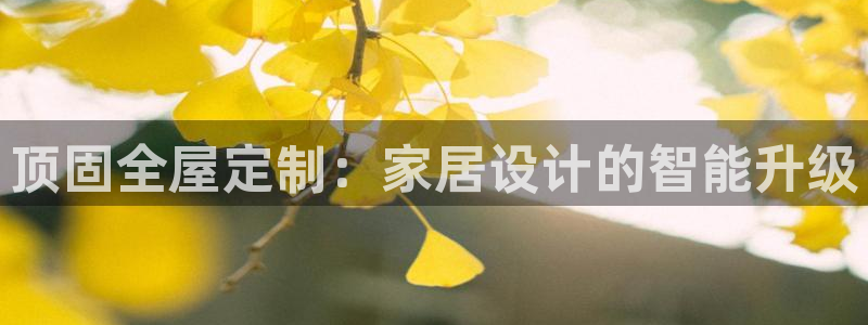 bb电子为什么总赢不了