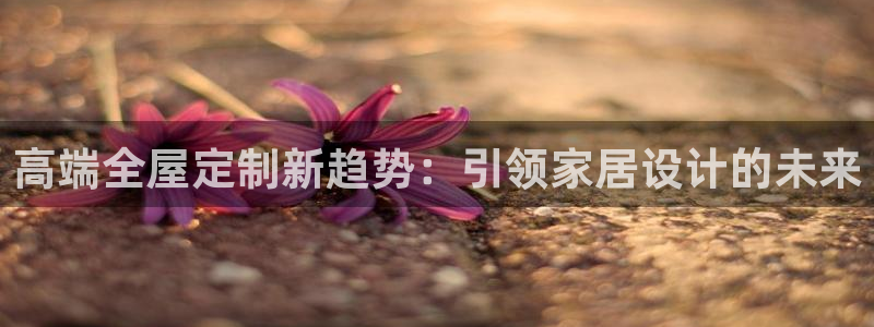 bb电子哪个平台好啊