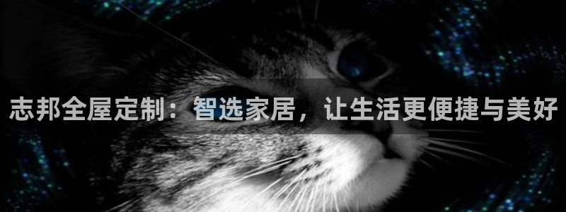 bb电子哪个平台好用点