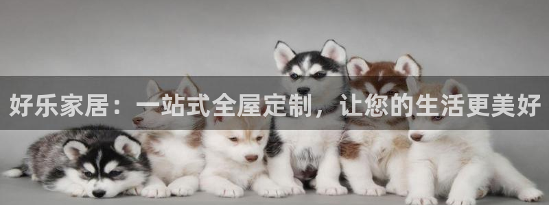 bb电子哪个平台好点