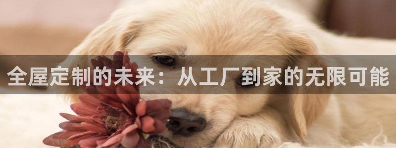 bb电子哪个游戏好赢钱