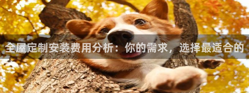 BB电子什么时候容易爆大奖