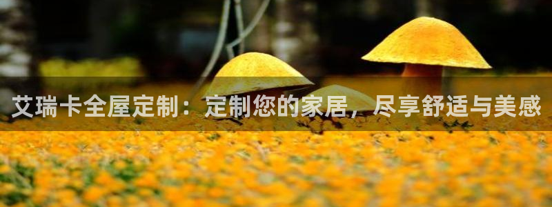 bb电子中了Major怎么算