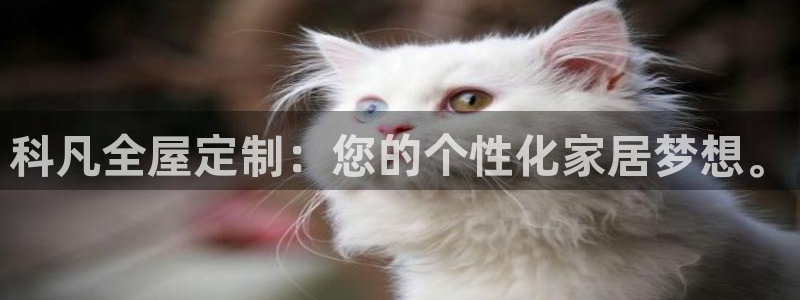 bb电子教育平台