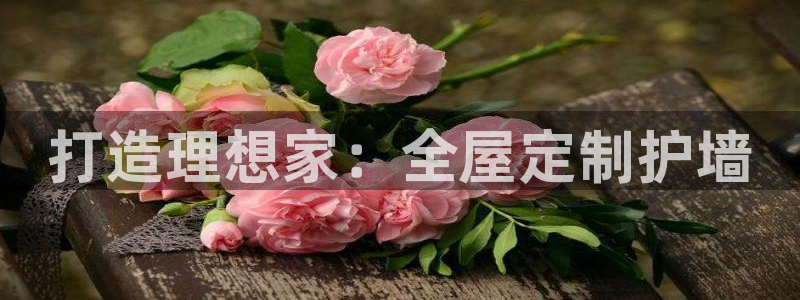 bb电子哪个平台好一点