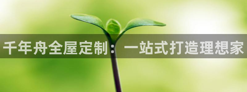 网上bb电子为什么那么假