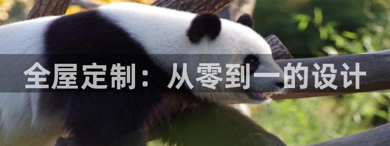 bb电子哪个平台好些